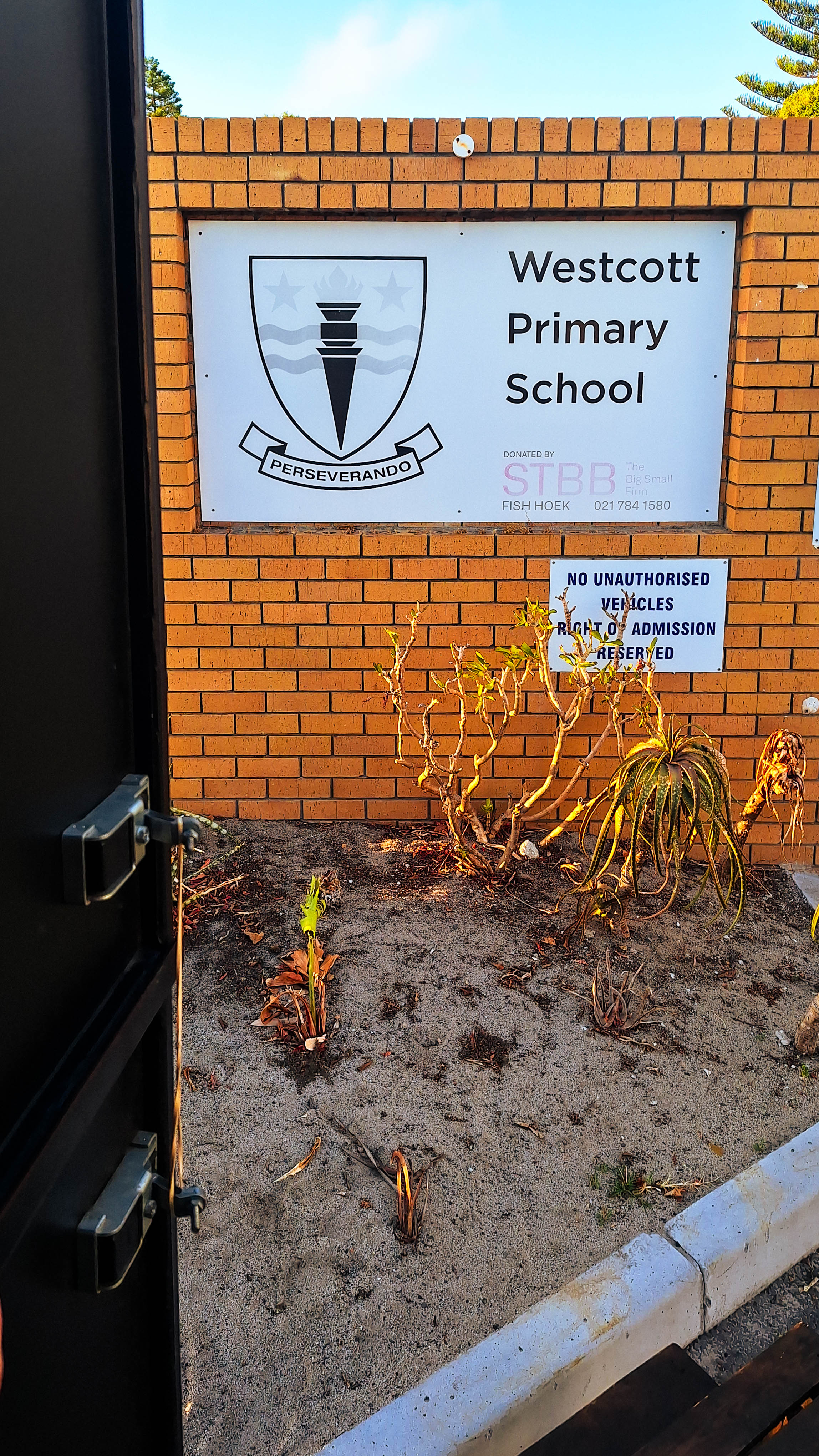 Beanbelt school service